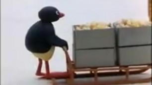 In Cucina Con Pingu