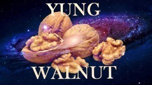 Ssoundcloud.com/yung_walnut_666/free-vbucks YUNG WALNUT ON THIS BISH